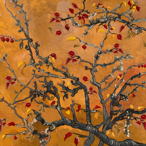 污视频免费限时观看
