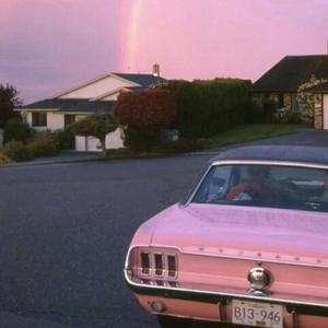 污视频免费限时观看
