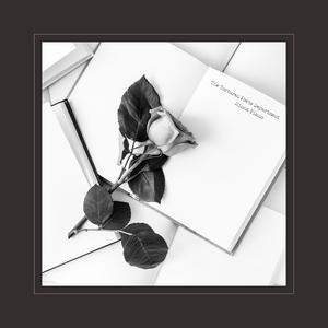 污视频免费限时观看
